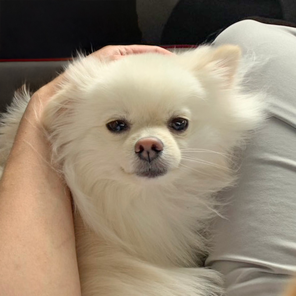 さすけの写真